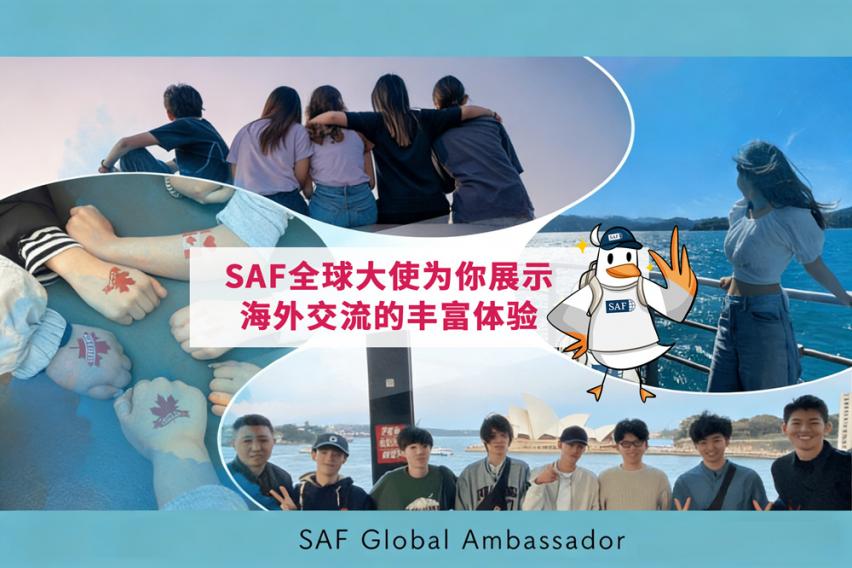 SAF全球校园大使