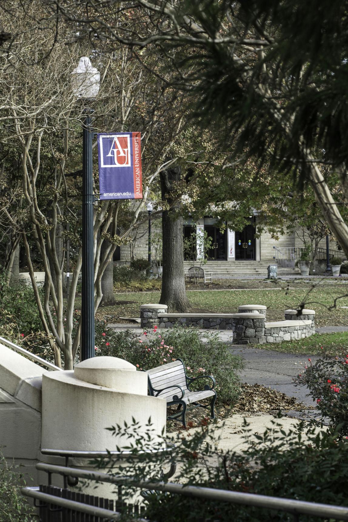 American University Content 10