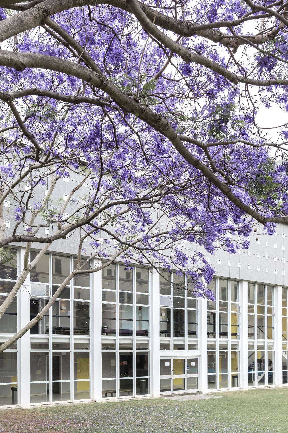 University of New South Wales Featured 02