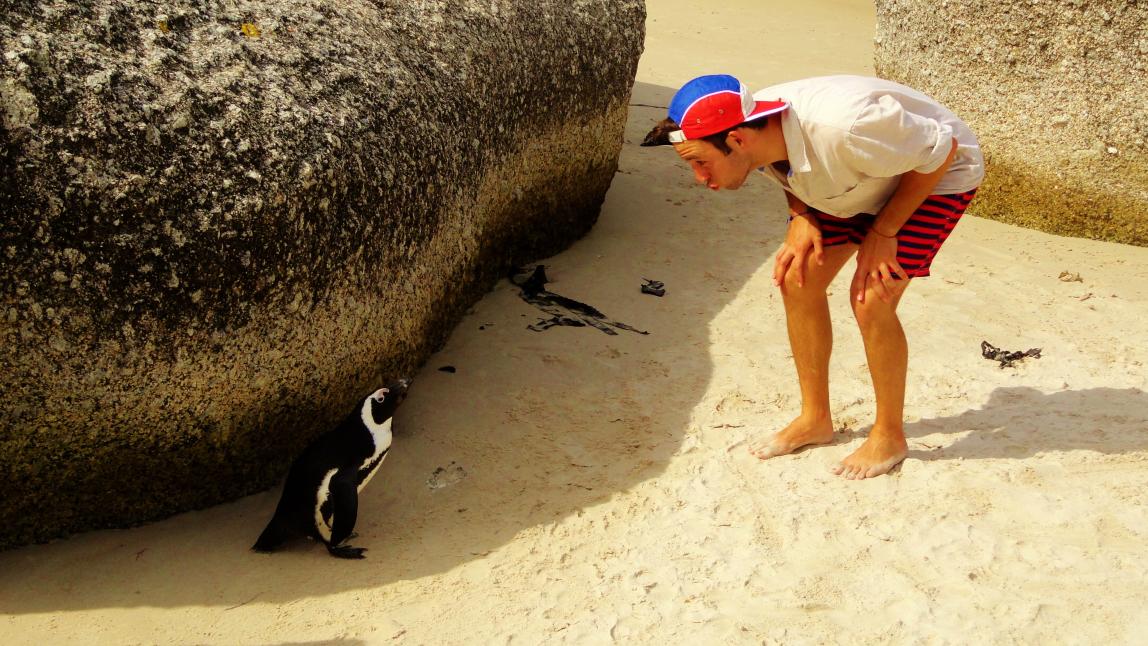 Cape Town Destination 4
