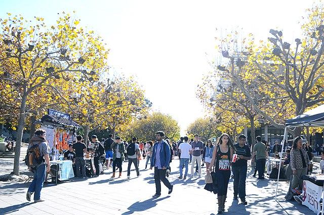 UC Berkeley