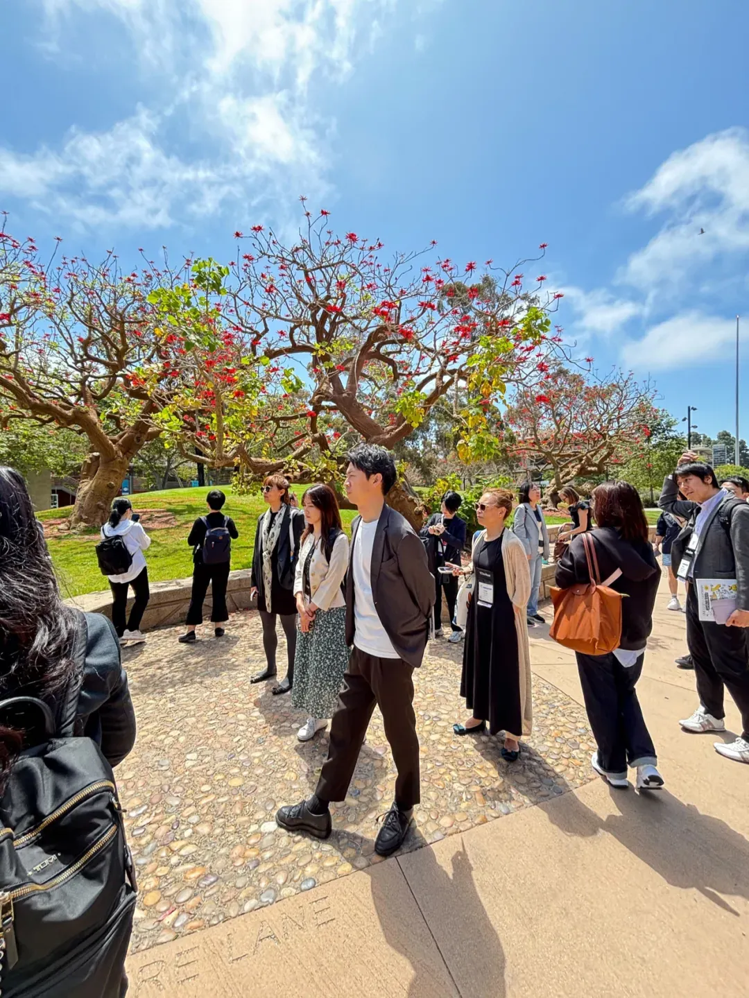 NAFSA2025 UCSD