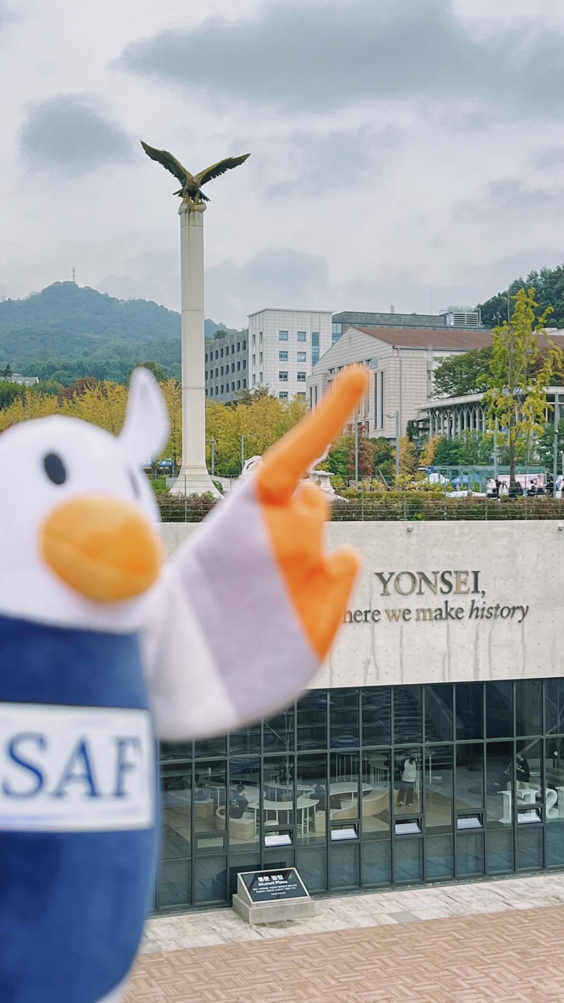SAFFY玩偶在延世大学