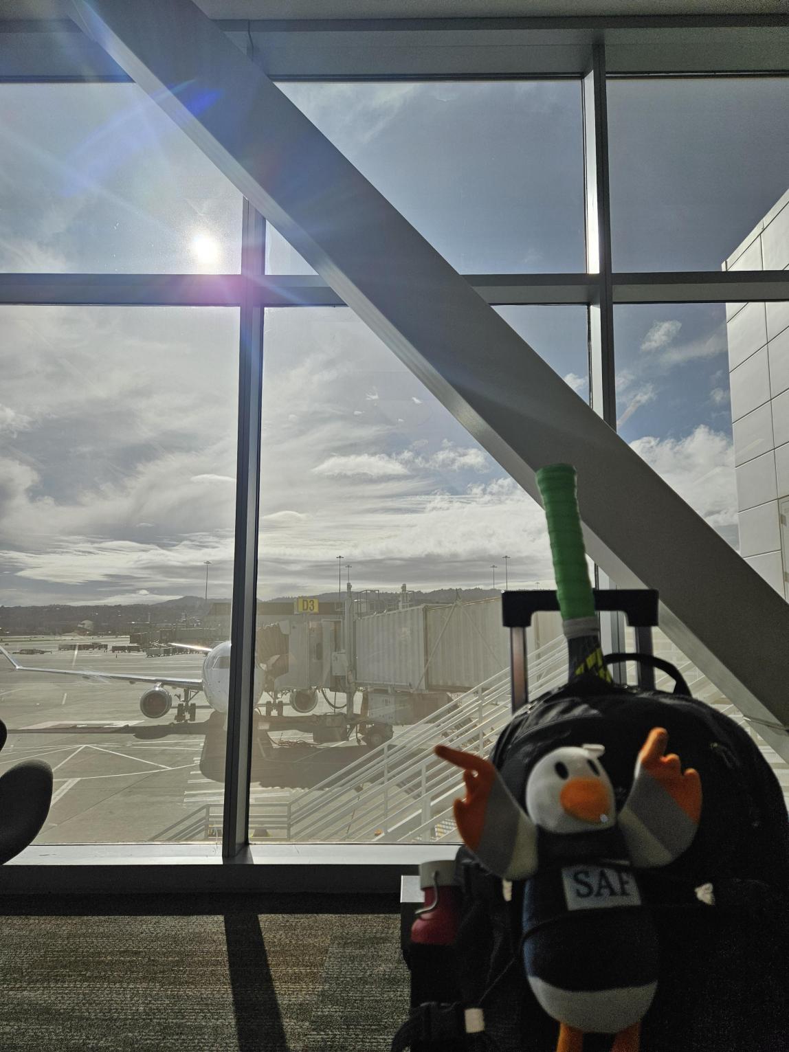 机场的SAFFY玩偶