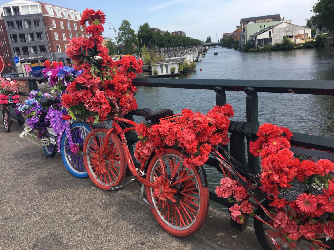 many bikes and flowers with matching colors sitting along the railings of an Amsterdam canal