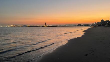 美しい夕暮れの地平線を浜辺から眺めている写真
