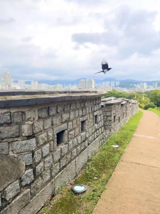 ソウルのナクサン公園