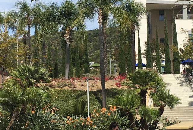 カリフォルニア州立大学サンマルコス校_C13