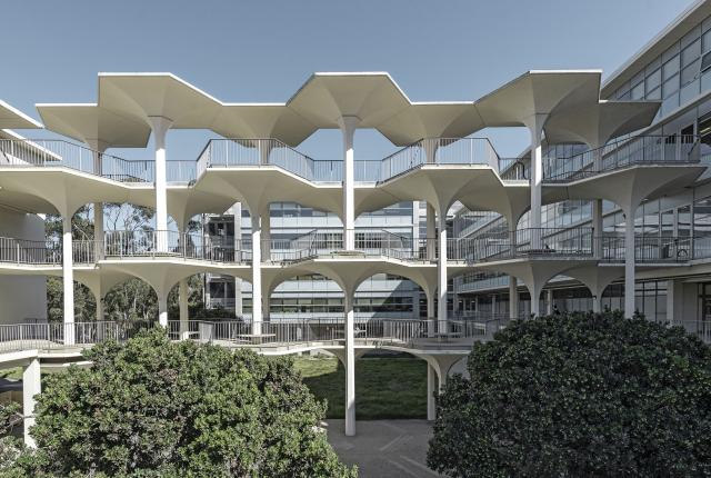 カリフォルニア大学サンディエゴ校_F03