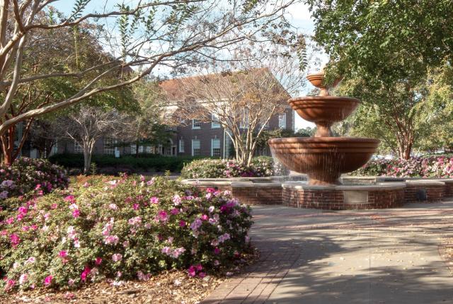 University of Mississippi Content 04