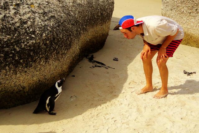 Cape Town Destination 4