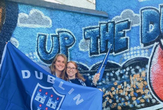 Dublin sports flag