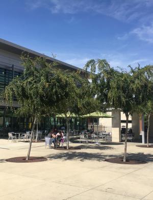 カリフォルニア州立大学サンマルコス校_F05