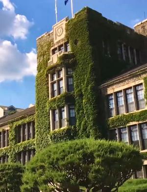 延世大学特色02