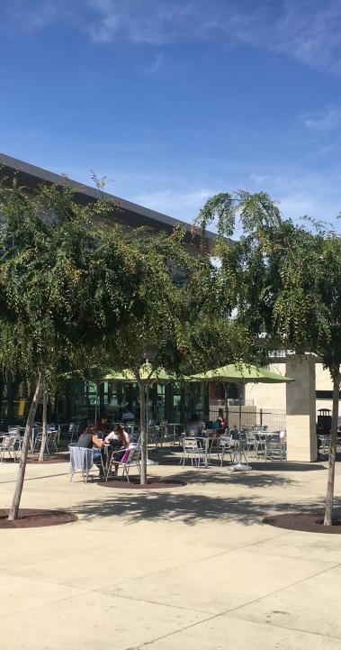California State University San Marcos Featured 05