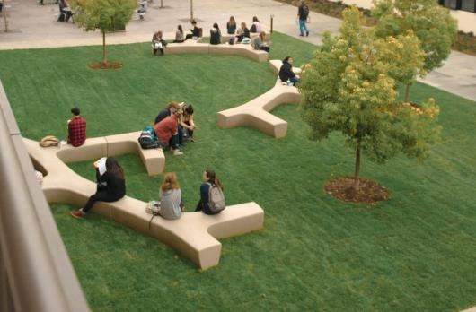 カリフォルニア州立大学ロングビーチ校_C11