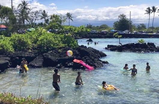 Swimming in Hilo