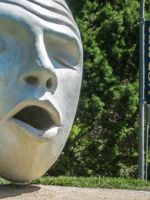 加州大学戴维斯分校内容01