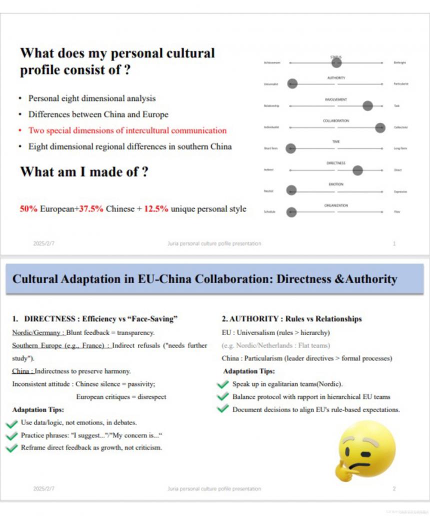 海外学习经历 米兰 结课汇报