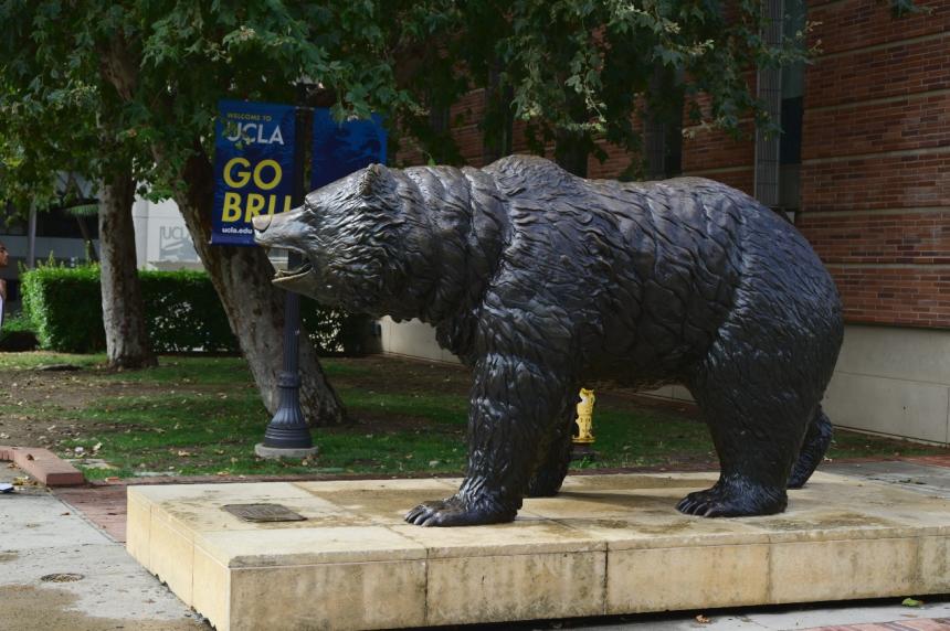 SAF全球校园大使 丁同学