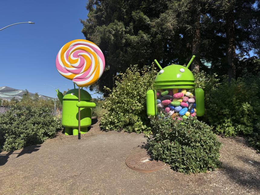 SAF全球校园大使 彭同学 Google