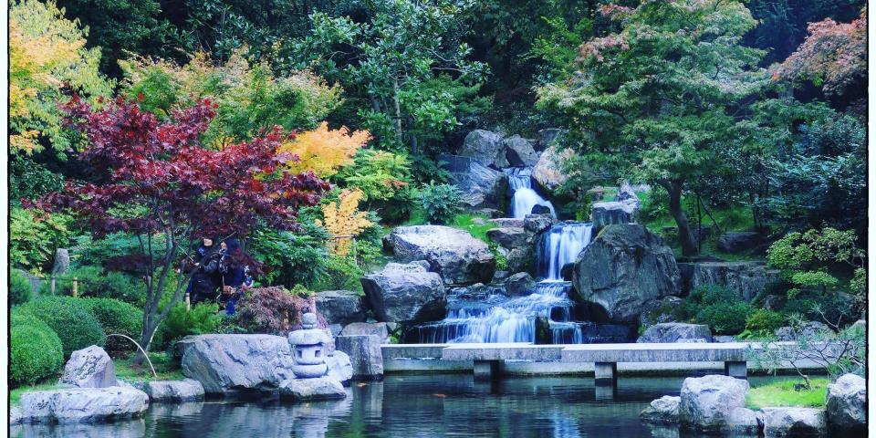 Kyoto Garden pond and colourful trees