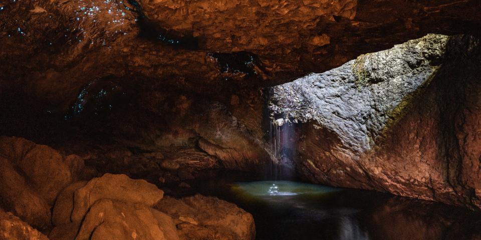 a cave with glowing worms on the cave ceiling