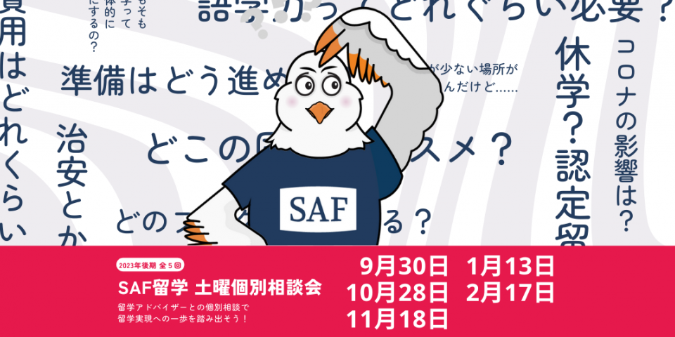 2023年後期の土曜個別相談開催のお知らせです！