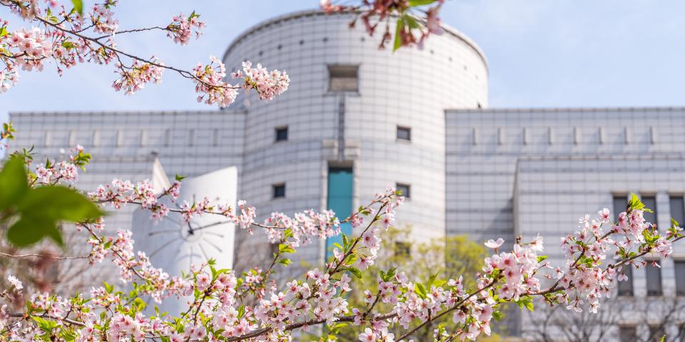 汉阳大学校园的鸟语花香