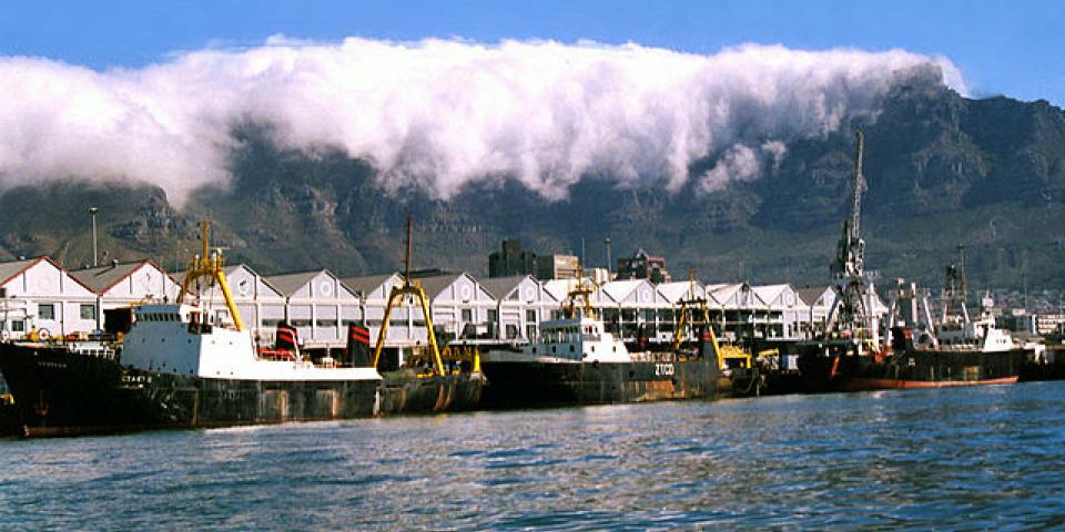 Fishing Cape Town
