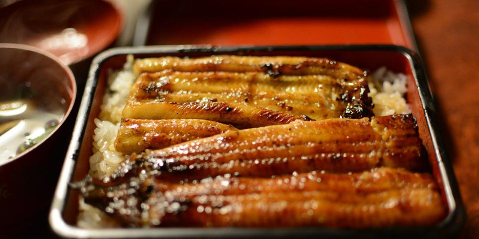 Unagi Japan
